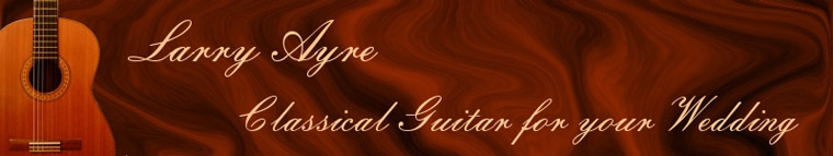 Larry Ayre Wedding Guitarist